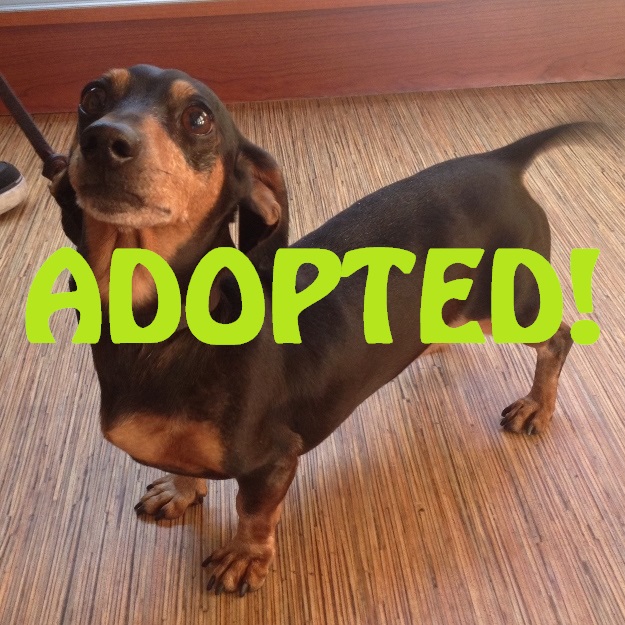 jessie gregory adopted
