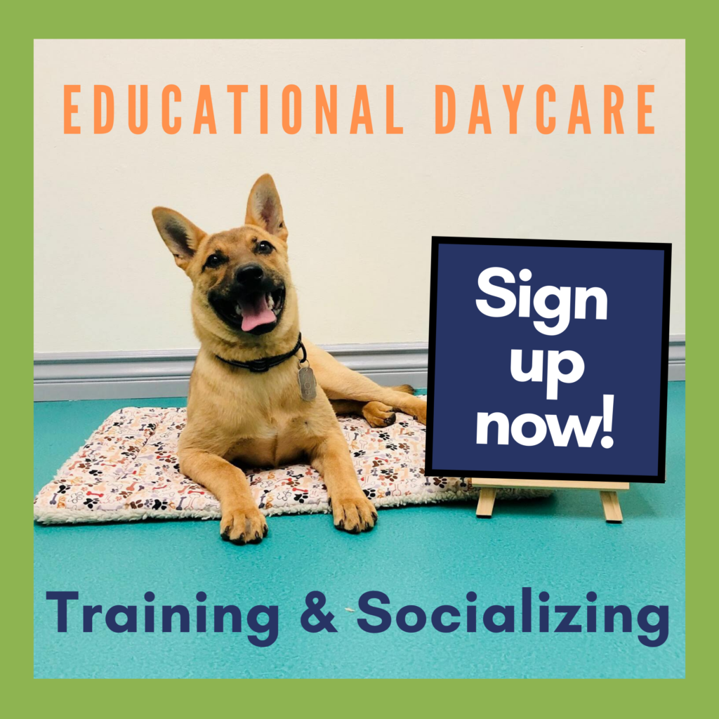 educational daycare