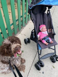 dog and baby