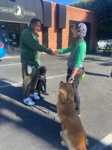 greet hand shake dogs