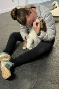 hugging puppy Australian shepherd