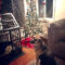 Oh, Christmas Tree!: Your dog's first Christmas