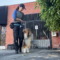 training dog with reawrds