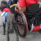 How Service Dogs Change Their Owners' Lives